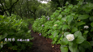 2025年6月🌱Team ECOメッセージは見附市
